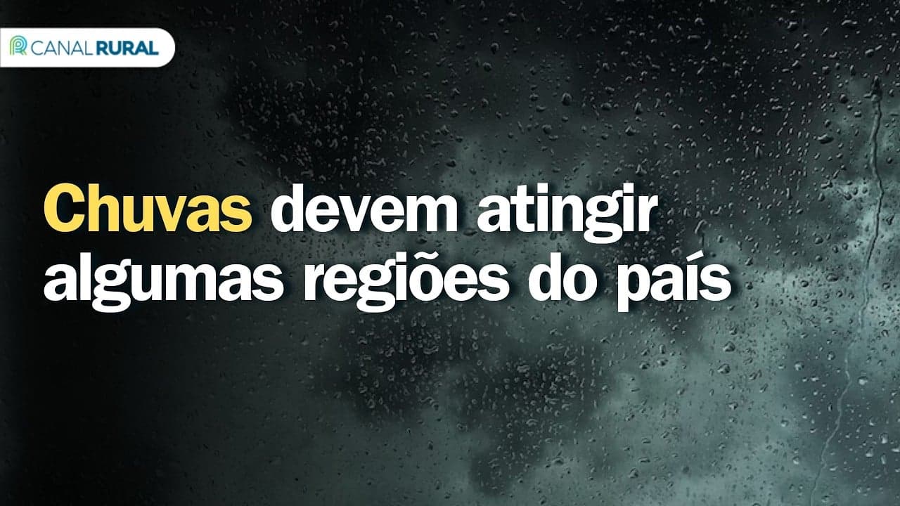 Colheita do arroz em Santa Catarina enfrenta desafios climáticos