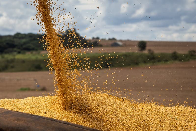 Queda nos preços da soja persiste em Paranaguá e outras regiões