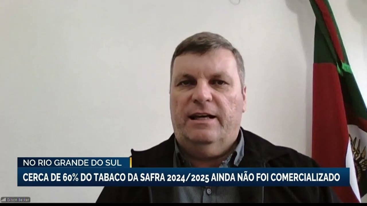 Tabaco no RS: 60% da safra 2024/2025 ainda não foi vendido