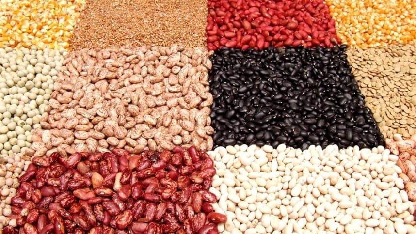 Feijão: Importância da Semeadura Correta para a Produtividade