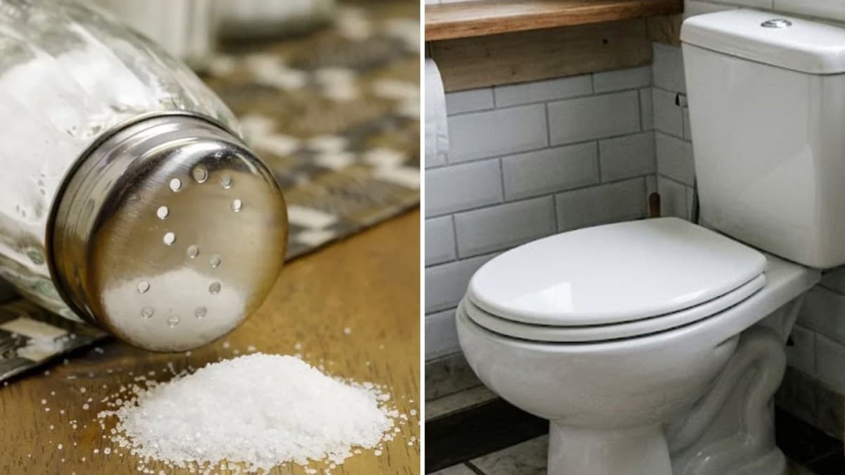 Sal no vaso sanitário: como funciona e cuidados necessários