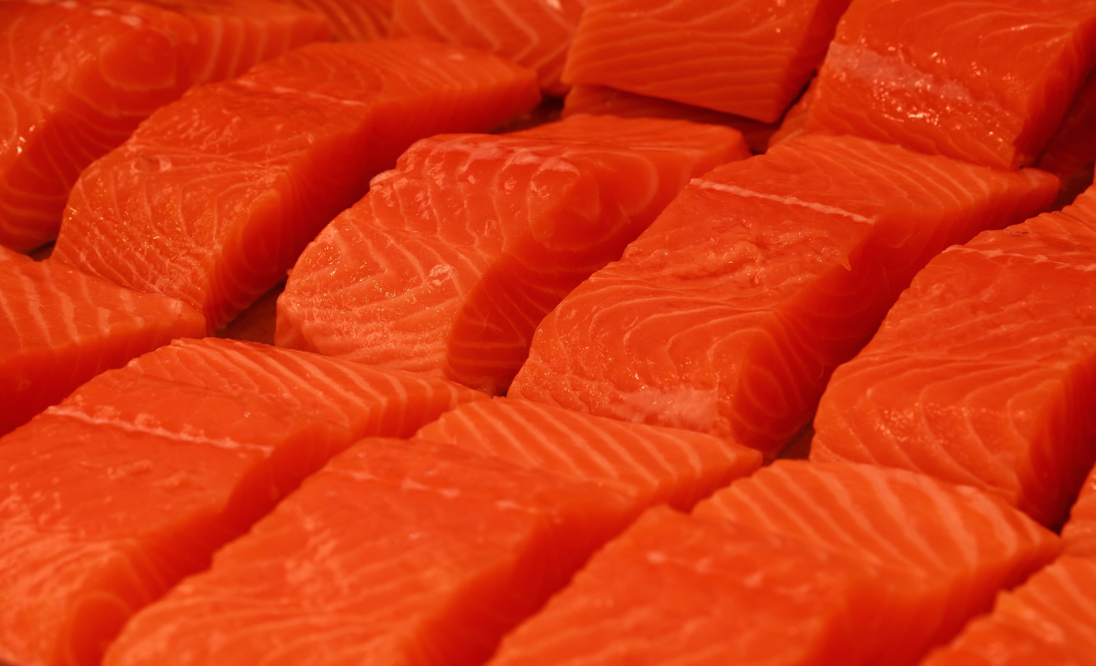 Crescem exportações de salmão do Chile para o Brasil
