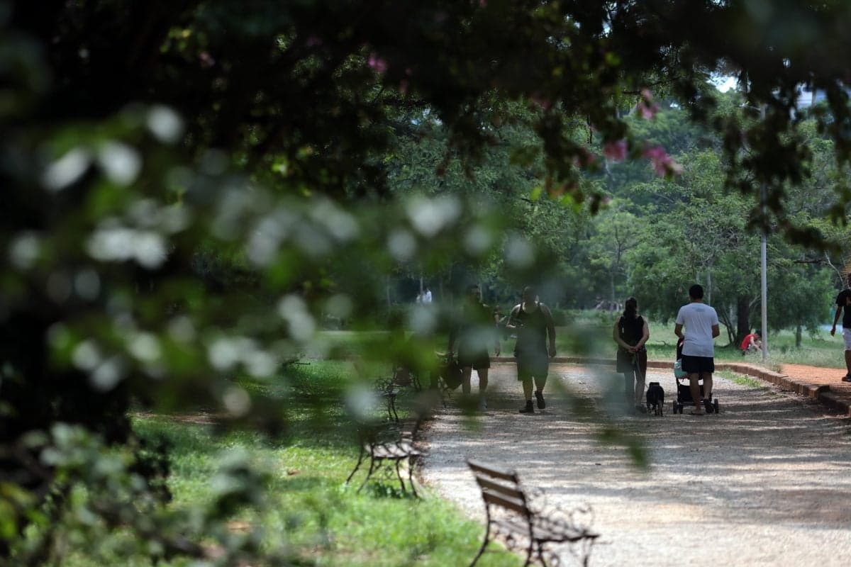 São Paulo se prepara para mudança climática com frente fria