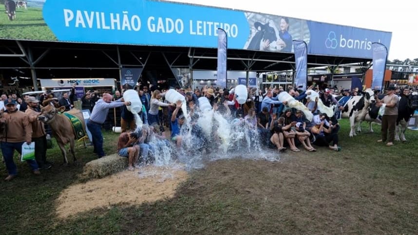 Expointer celebra leite com competições e homenagens a criadores