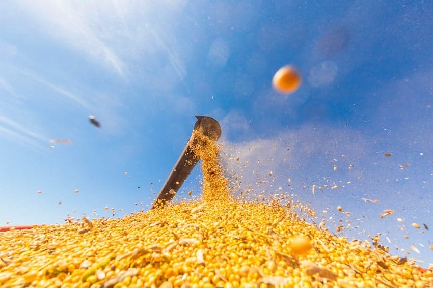 Alta da soja em Mato Grosso pressiona margens da indústria