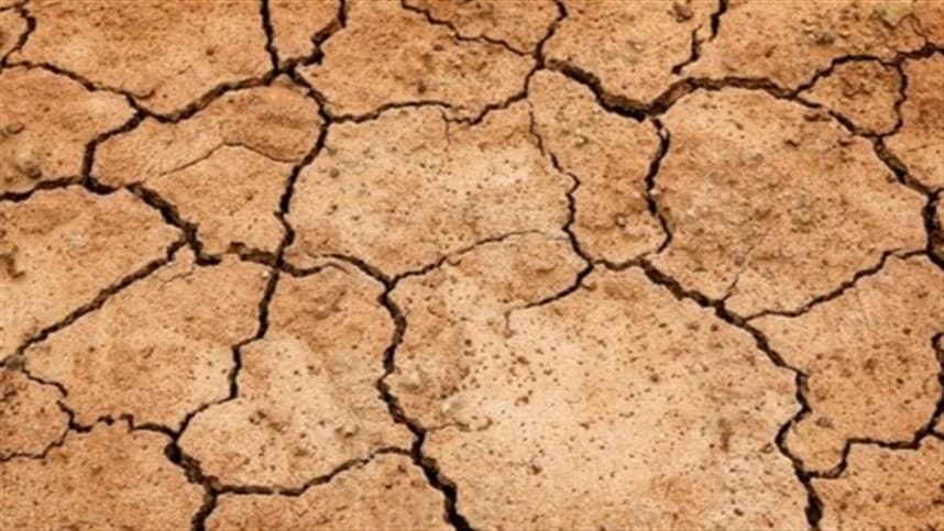 Seca em regiões produtoras afeta mercado agrícola na América do Norte