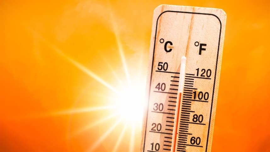 Onda de calor afeta produção de grãos na Europa em 2026