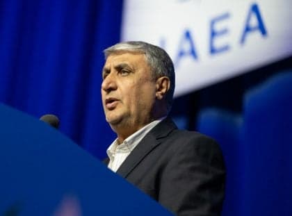 Irã rejeita limitações em programa nuclear, afirma chefe da AEOI