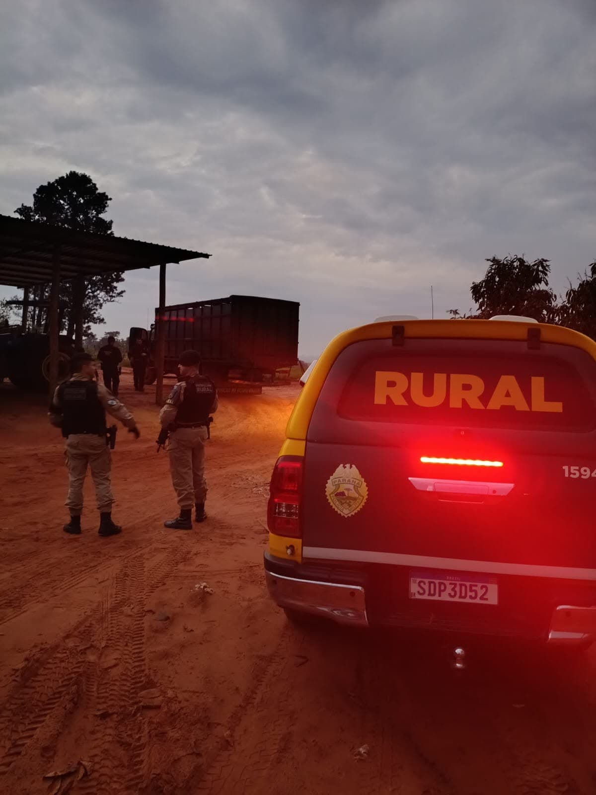 Polícia Civil do Paraná prende 19 por furto de gado em operação