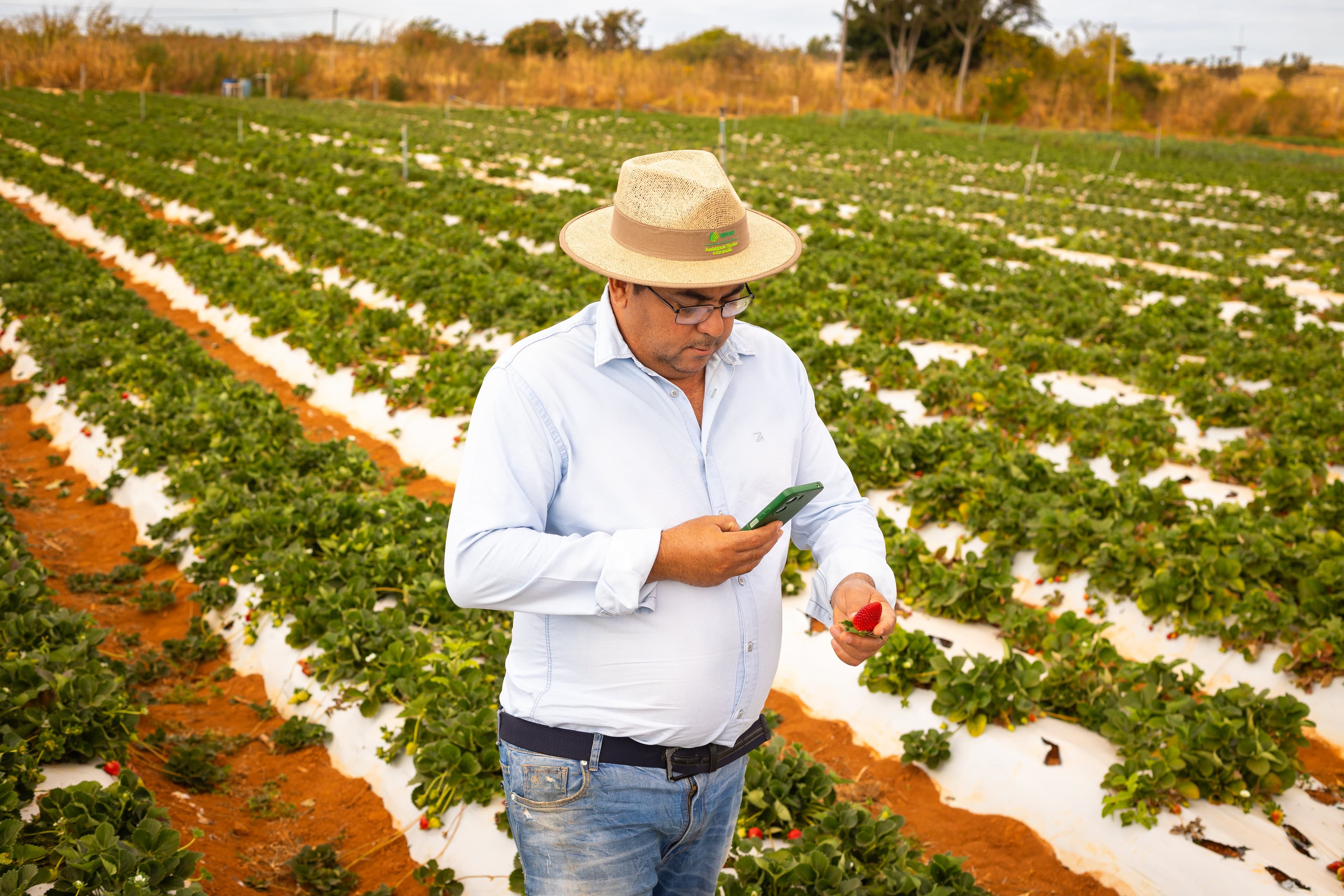 Banco Mundial e IICA buscam conectar propriedades rurais na América Latina