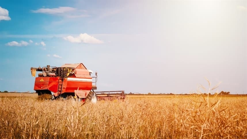 Desafios e Oportunidades na Produção de Trigo no Brasil em 2026