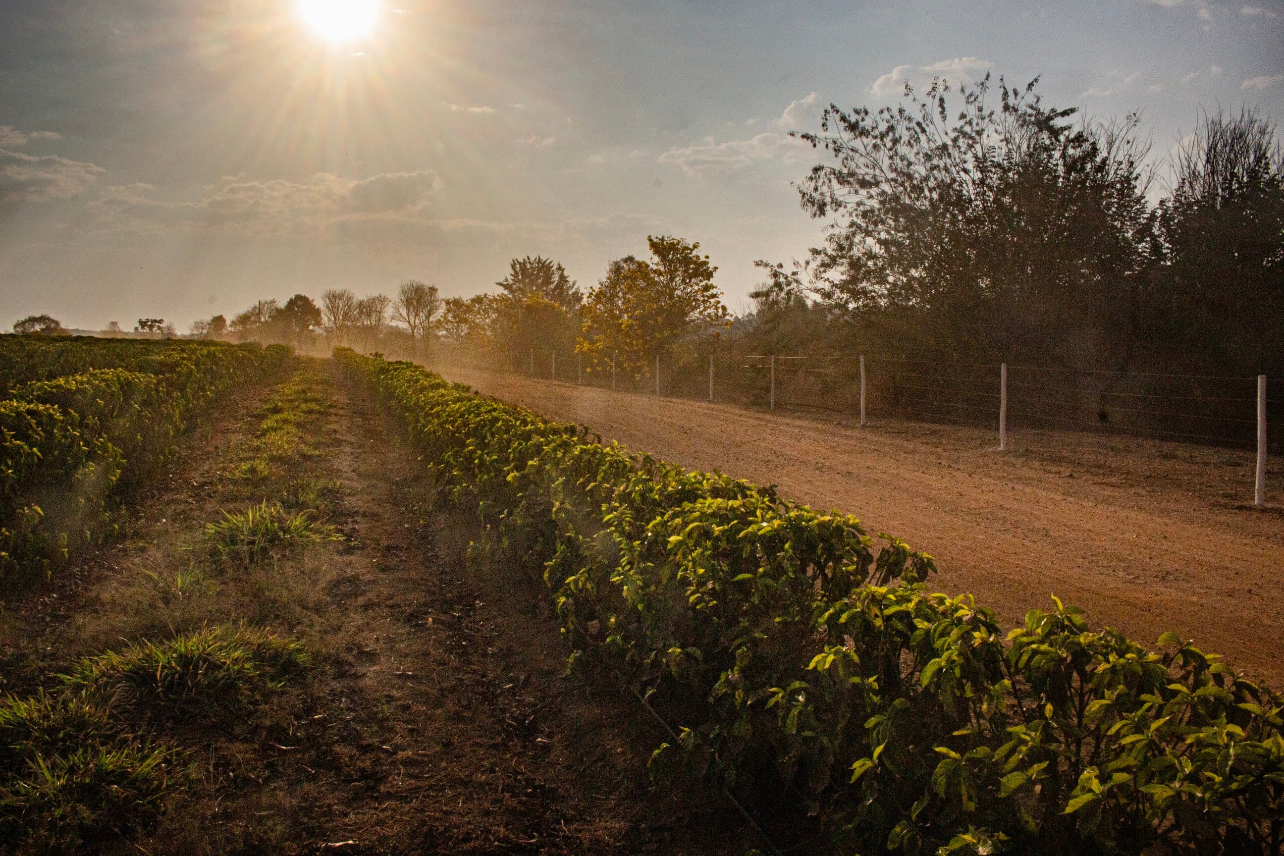 Premiação Fazenda Sustentável revela vencedoras em setembro