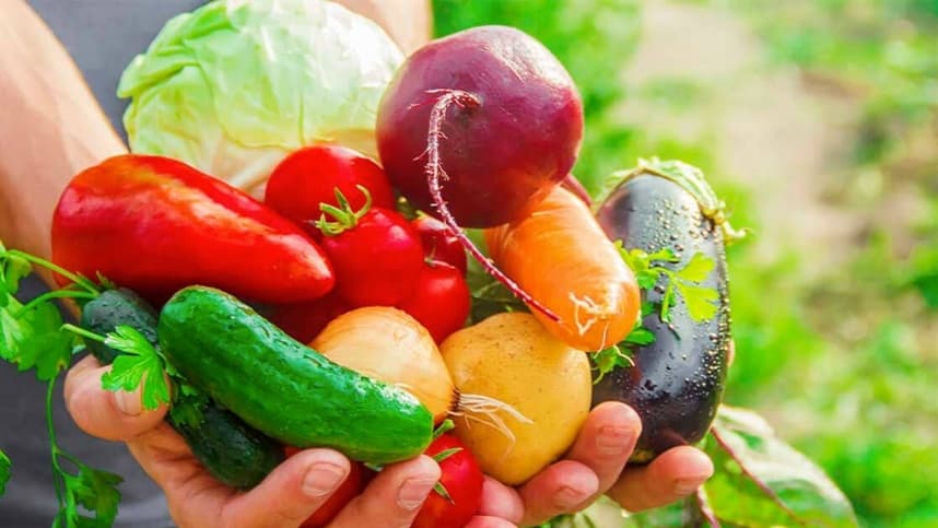 Mapeamento dos movimentos das hortaliças em Minas Gerais