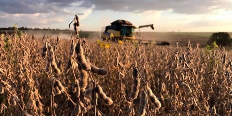 Mercado de soja no Brasil registra baixa nesta sexta-feira