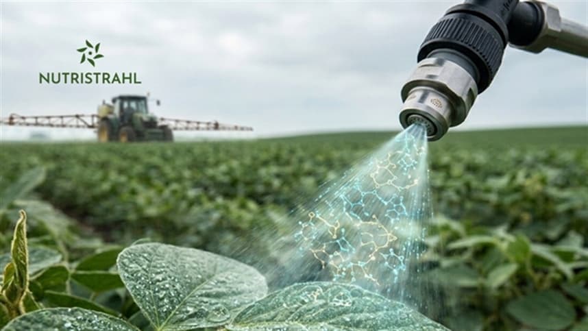 Sete fatores que comprometem a eficácia de defensivos agrícolas