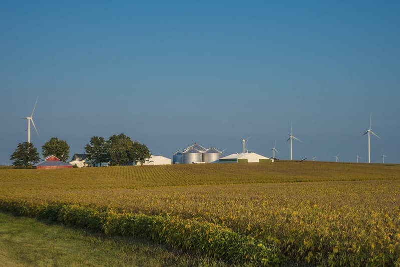 USDA Preve 34,2 Milhões de Hectares de Soja para 2026/27