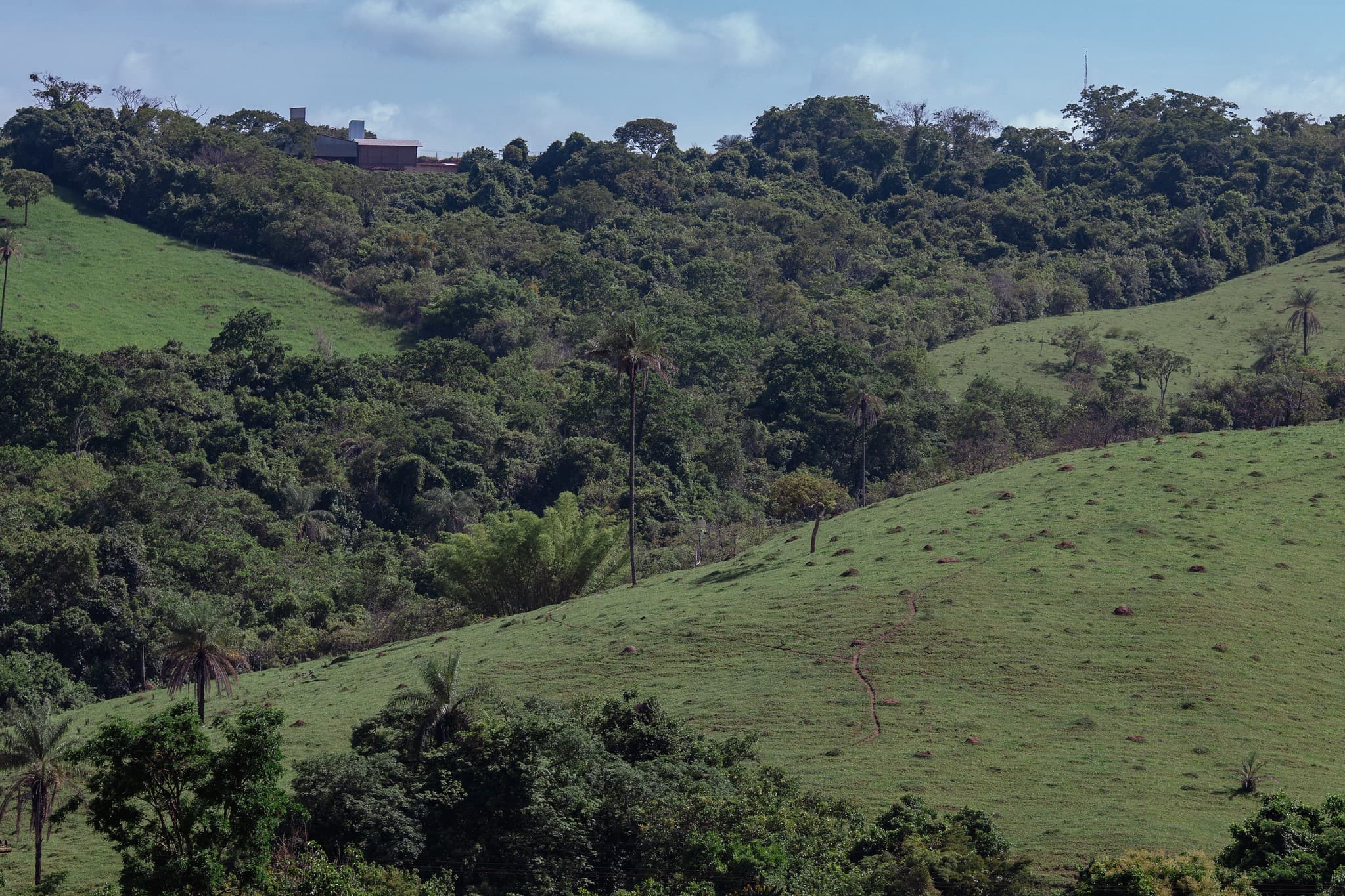 CNA apresenta propostas para COP 31 sobre mudanças climáticas na agricultura
