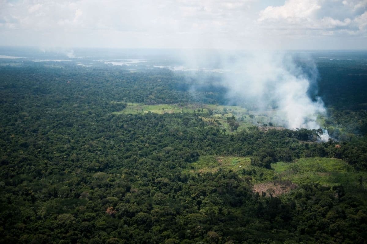MP do Pará lançará força-tarefa para combater queimadas em 2026
