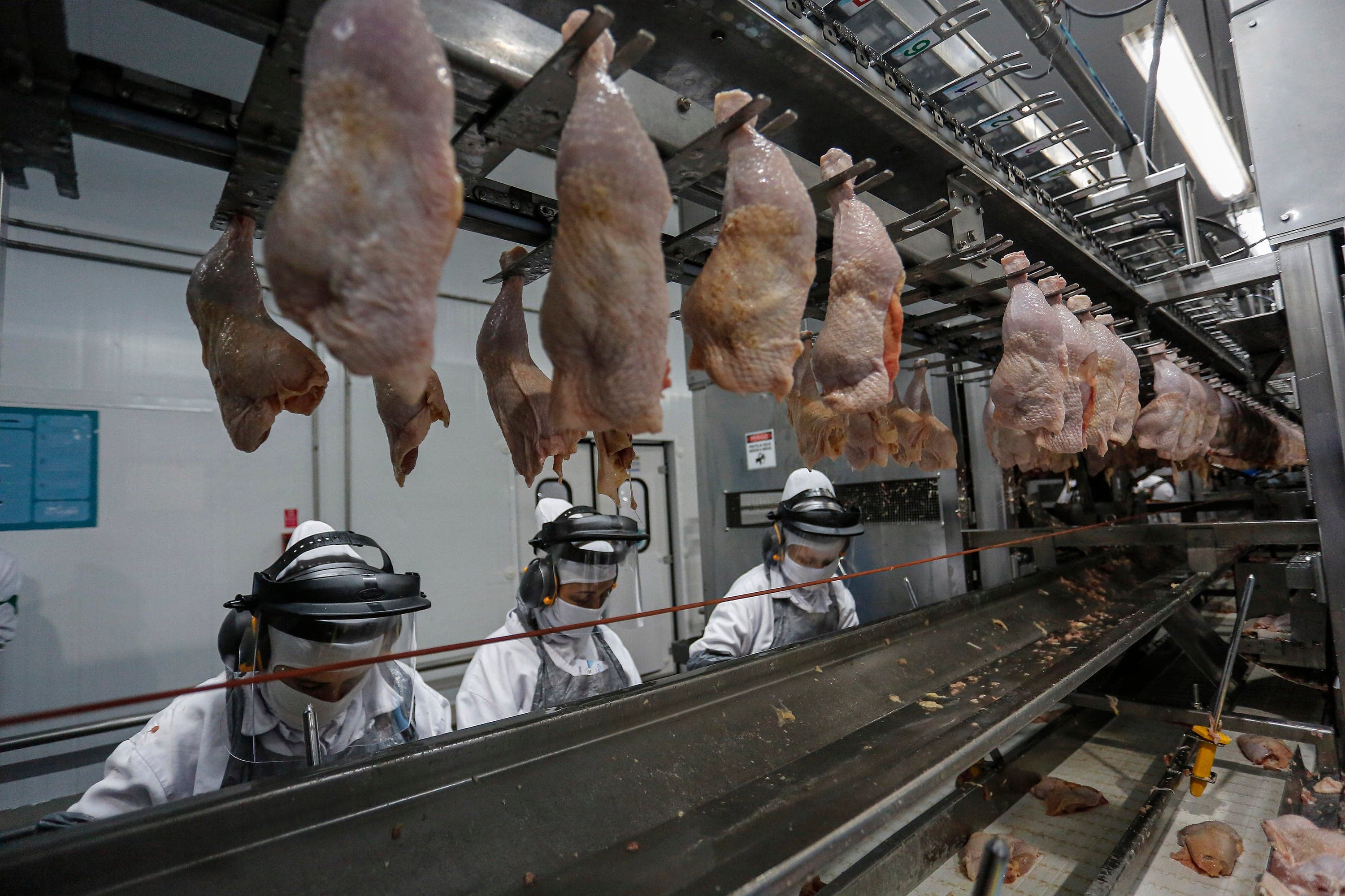 Mercado avícola encerra outubro com preços em queda e demanda fraca