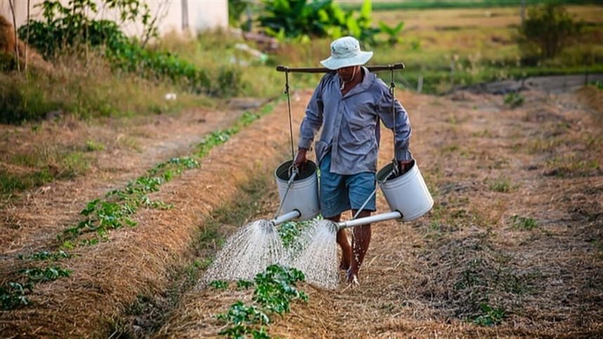 Rio Grande do Sul lança Fase 3 do programa Irriga+RS com novos recursos