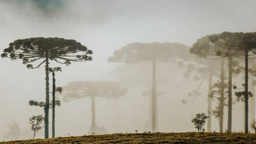Frente Fria Alcança Brasil, Refresca Sul e Sudeste