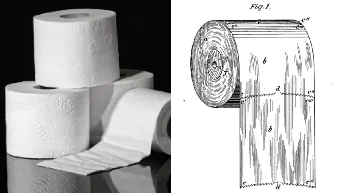 Origem e a maneira correta de usar o papel higiênico, segundo seu inventor