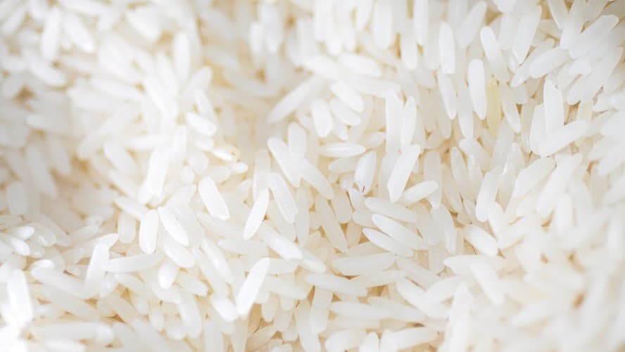 Possível escassez de arroz no Brasil em 2024: Confira a situação dos estoques nacionais