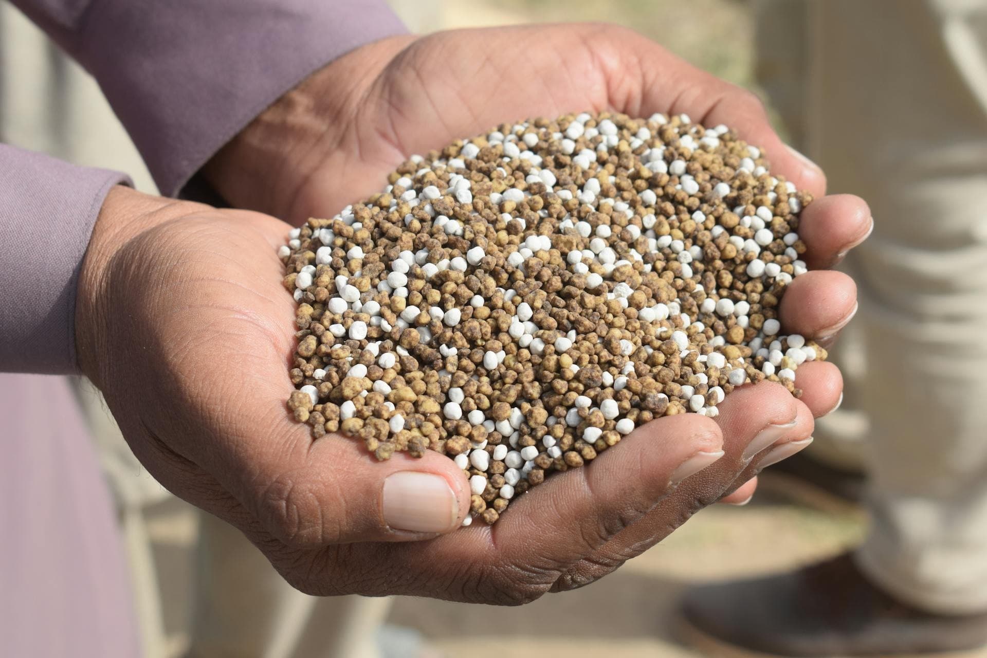 Alta de preços e crise de transporte afetam fertilizantes no Brasil