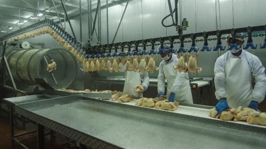 Reoneração gradual da folha de pagamento na MP 1.202/2023 atinge o setor agropecuário