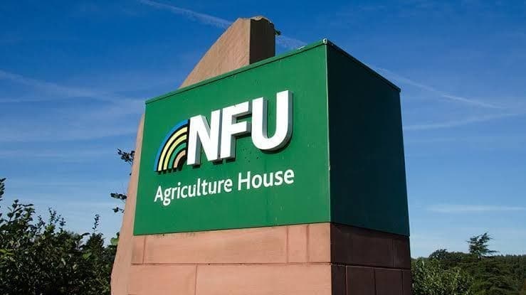 Produtores britânicos temem influxo de carne brasileira