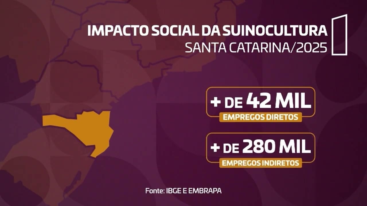 ABCS lança plataforma de inteligência para suinocultura no Brasil