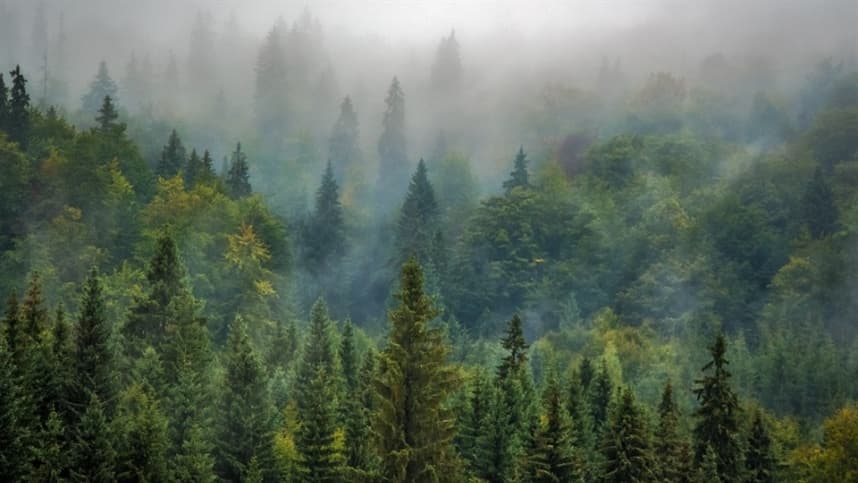 COP28 aprova criação de fundo climático de perdas e danos para países vulneráveis