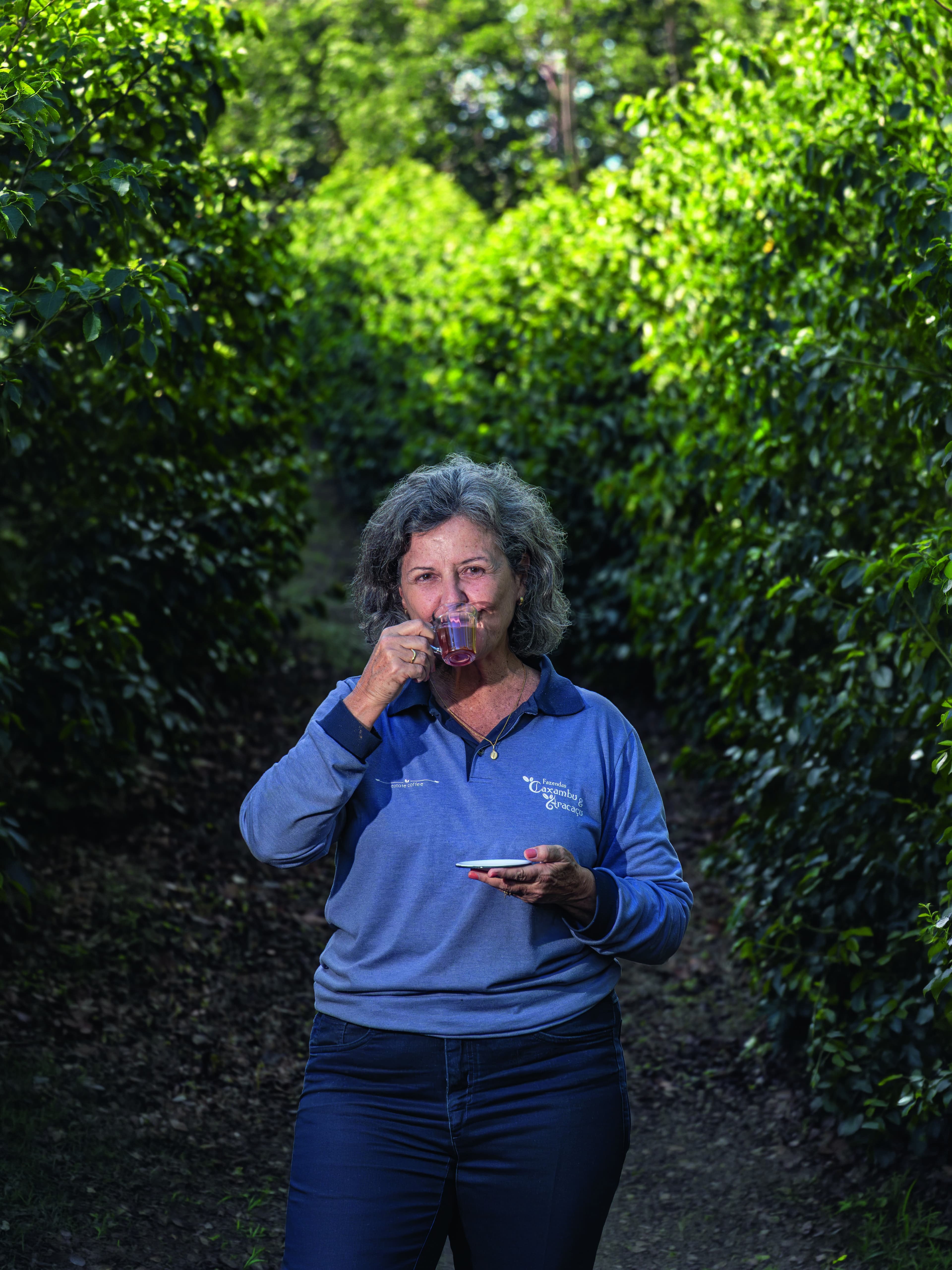 Fazendas em Três Pontas transformam cultivo de café em corredores ecológicos