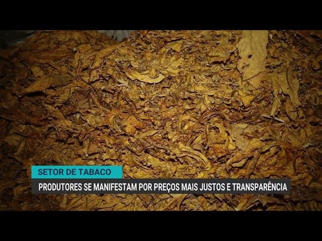 Produtores de tabaco do RS exigem preços justos e mais transparência