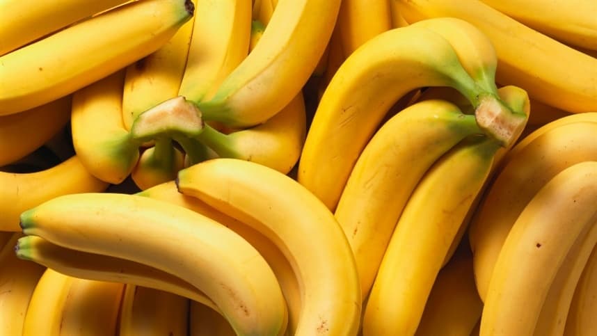 Clima propício impulsiona produção de banana prata no Vale do São Francisco