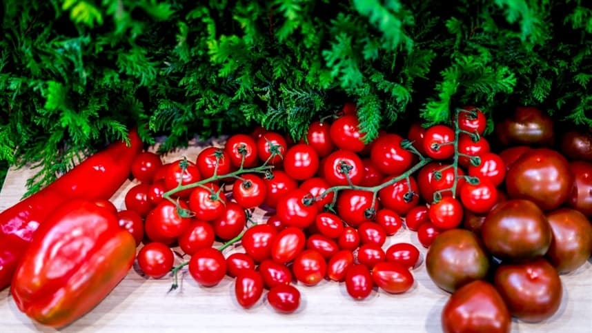 Tecnologia transforma setor de frutas e verduras em São Paulo