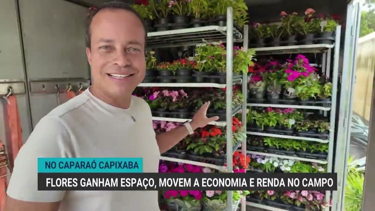 Floricultura na Serra do Caparaó gera R$ 10 milhões e 8 mil empregos