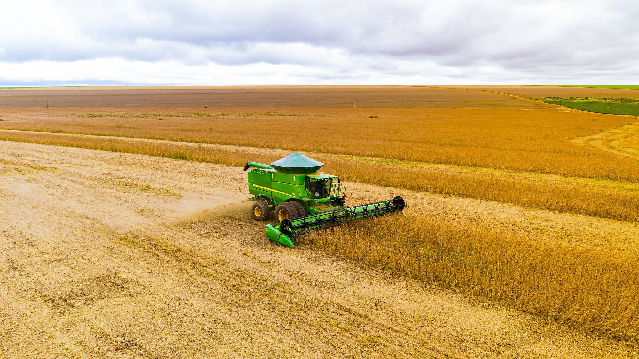 Mato Grosso e Rondônia ampliam área plantada de soja em 294 mil hectares