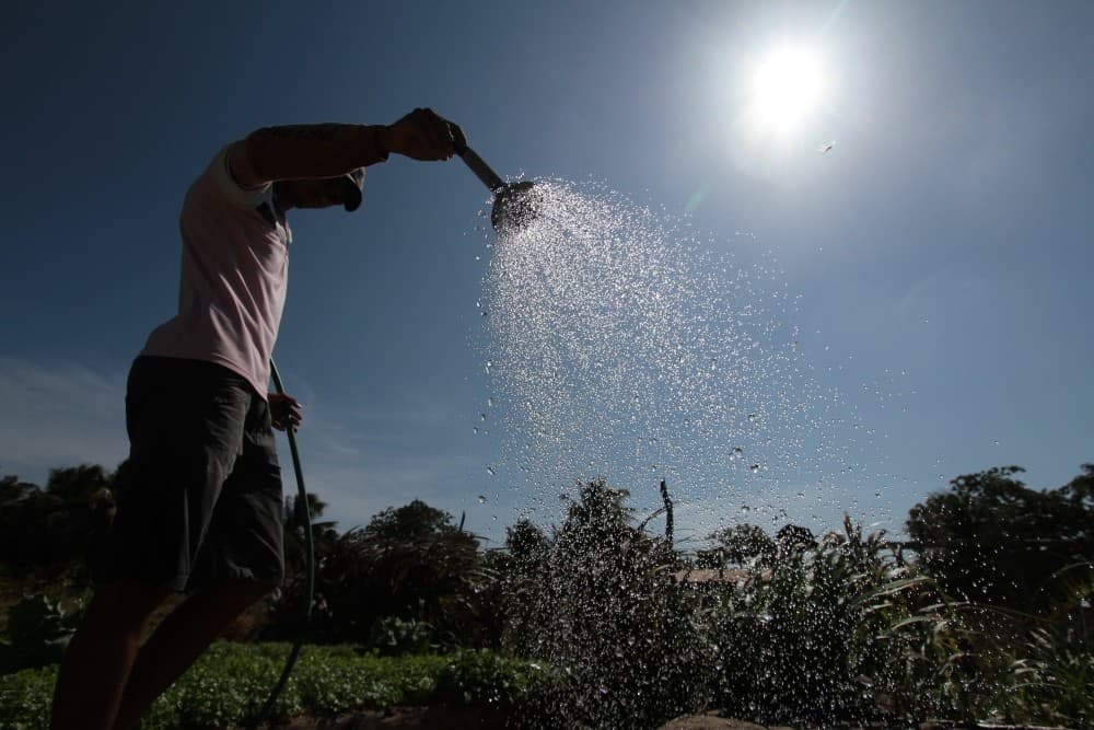Governo anuncia novo plano safra com valor acima de R$ 594 bi