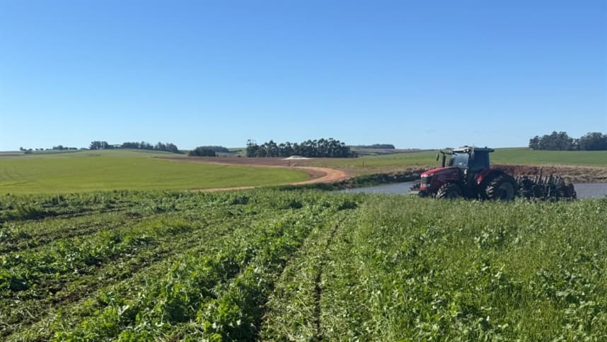 Compactação do Solo Afeta Agricultura no Rio Grande do Sul