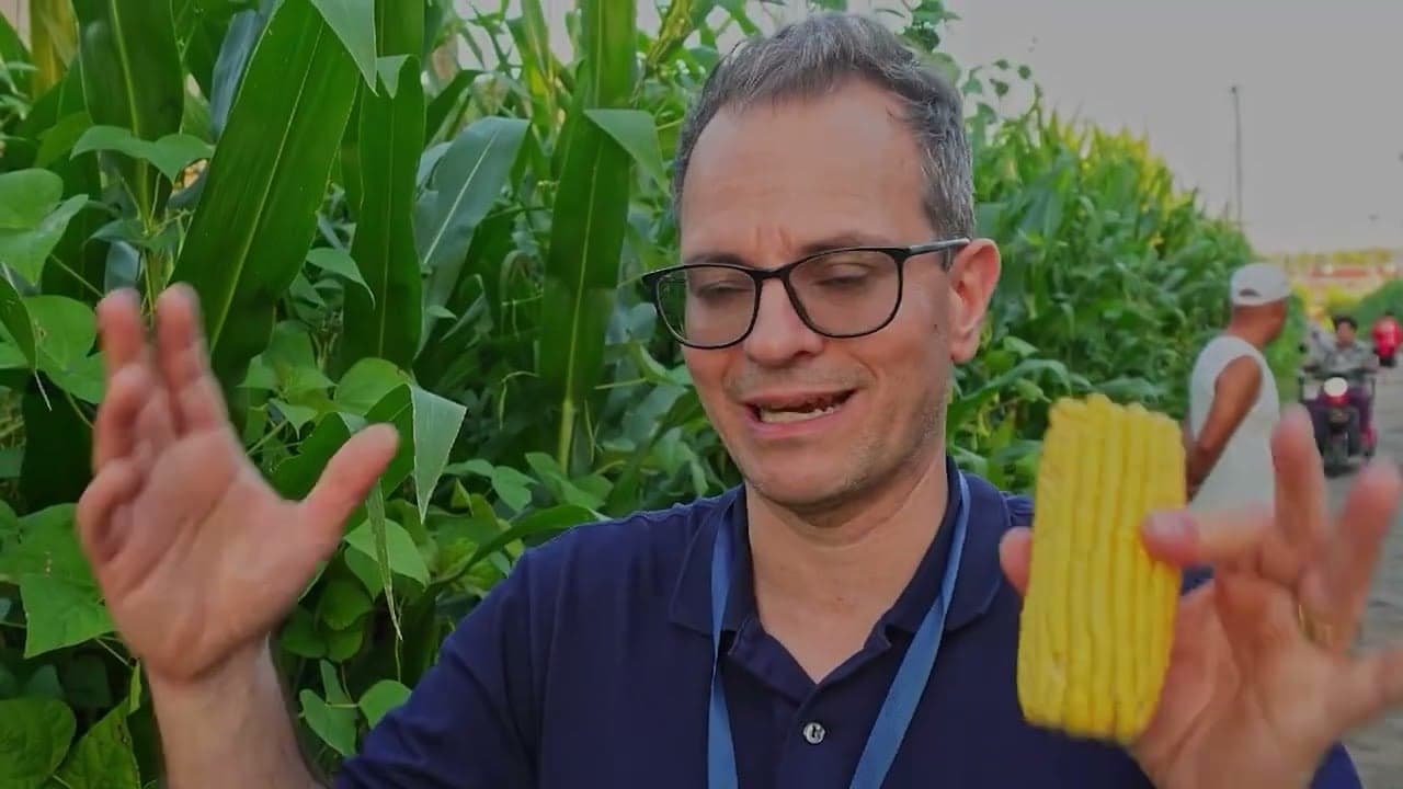 China se torna principal comprador de soja brasileira e molda mercado