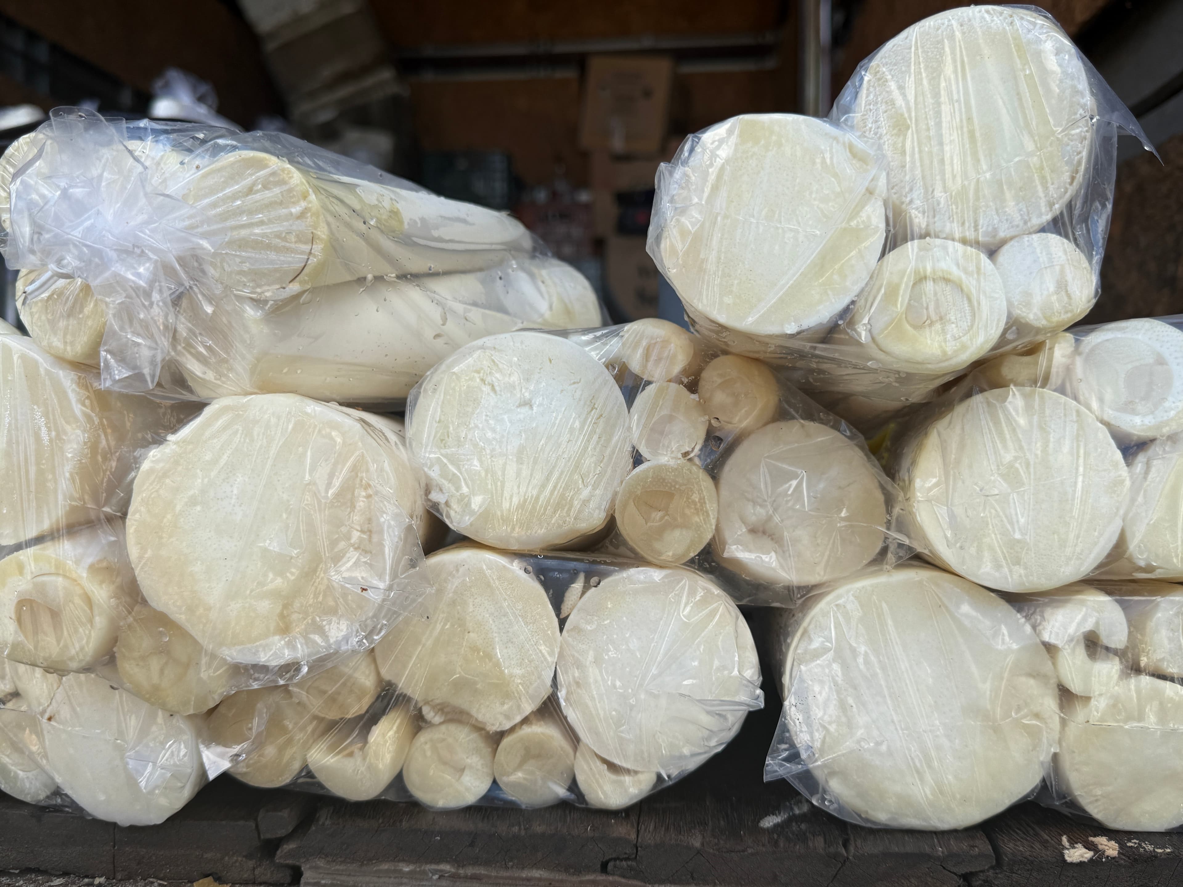 Palmito Brilha na Semana Santa do Espírito Santo