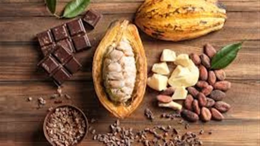 Mercado de cacau atinge valor recorde