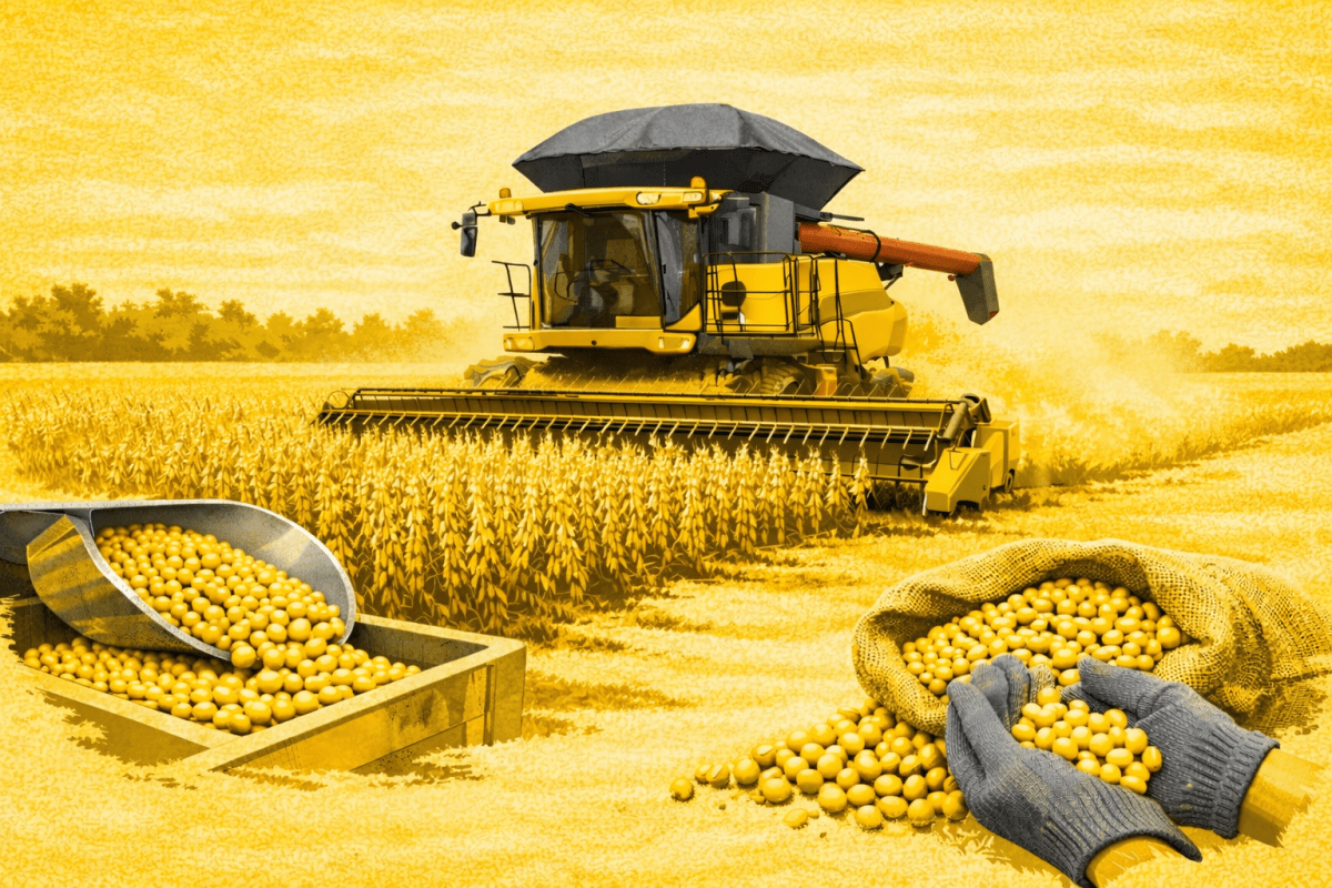 Moratória da Soja: STF estabelece prazo para propostas de conciliação