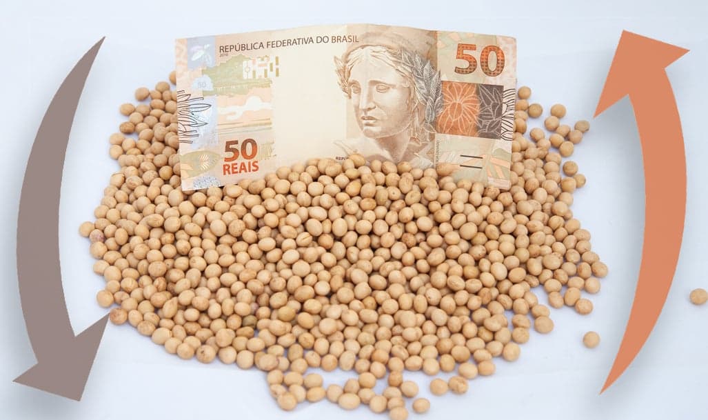 Mercado de soja tem pequenas altas, mas liquidez permanece baixa