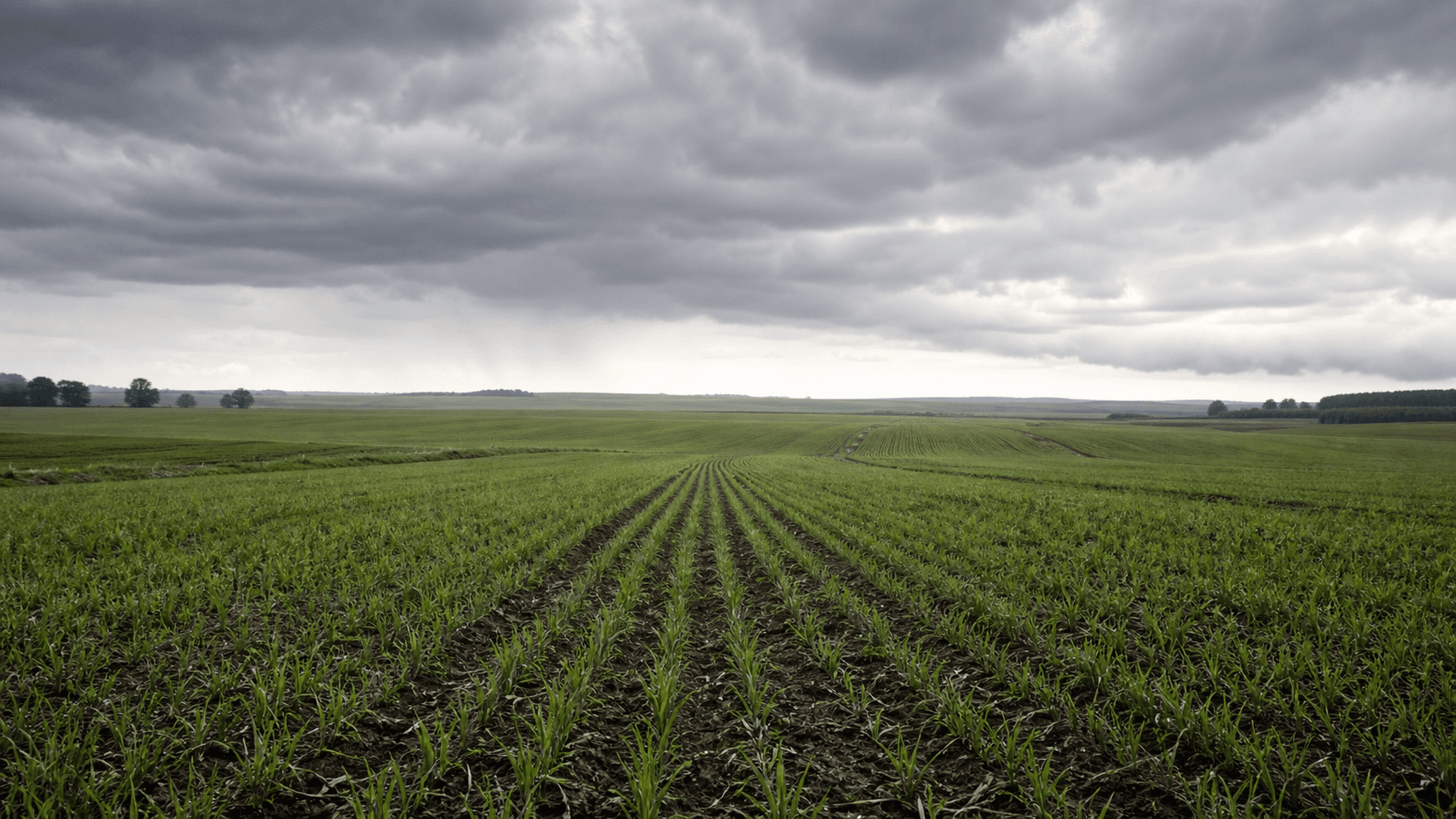 El Niño ameaça rentabilidade da soja em 2026