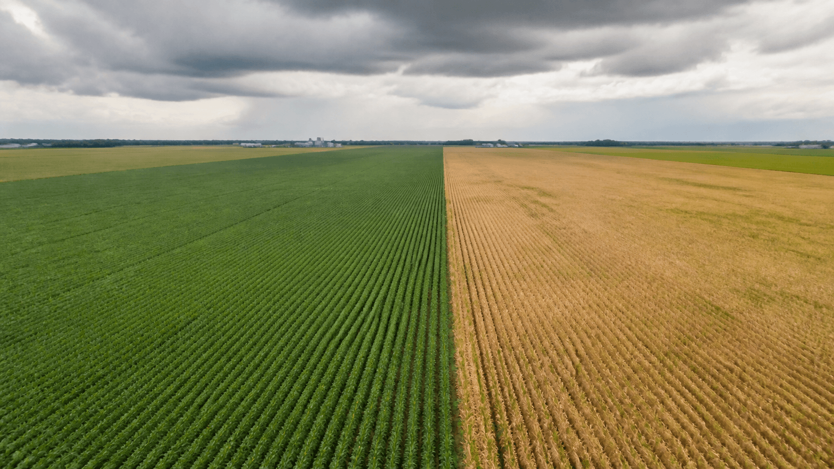 Senado aprova marco para Seguro Rural no Brasil