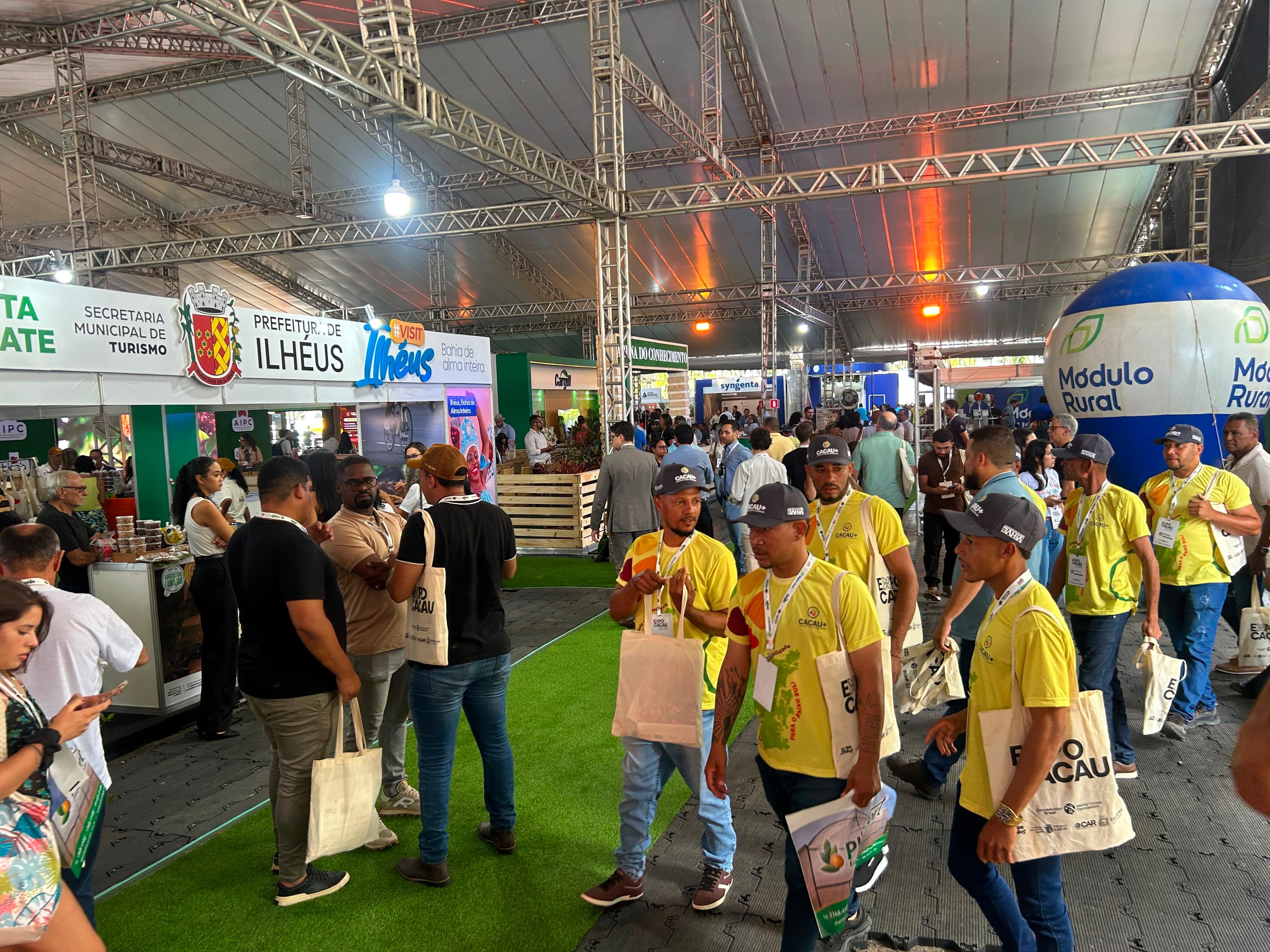 Preços do cacau derrubam negócios na Expocacau em Ilhéus
