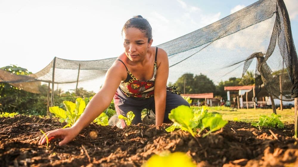 Limite de microcrédito rural aumenta no Plano Safra 2026/27