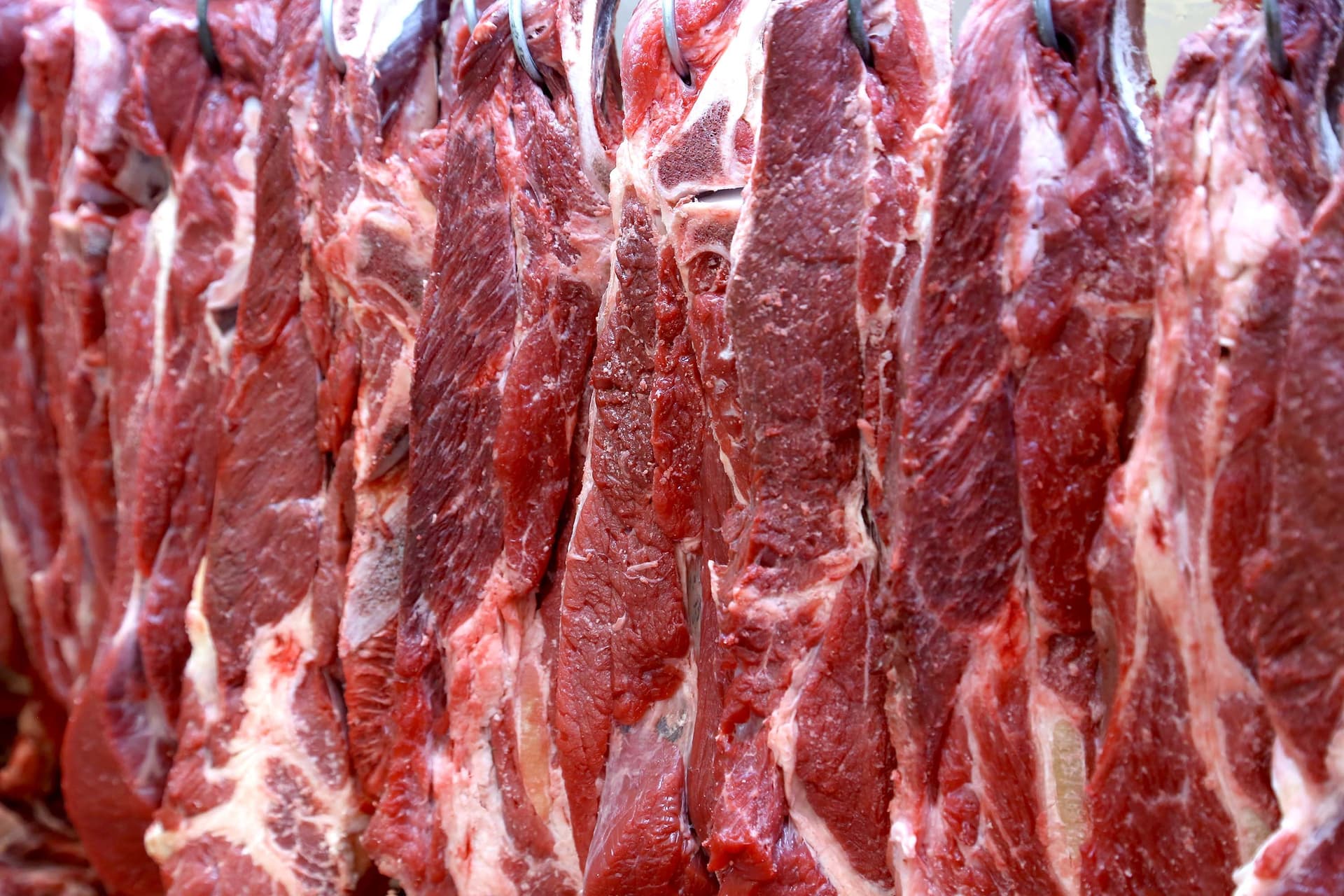 Austrália Atinge 50% da Cota de Carne Bovina na China